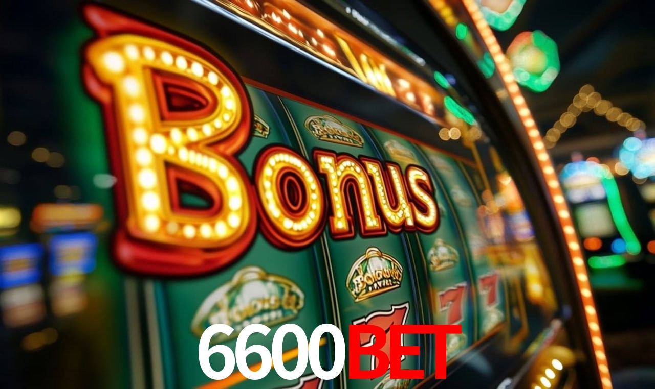 6600bet Salvador - Promo Stats
